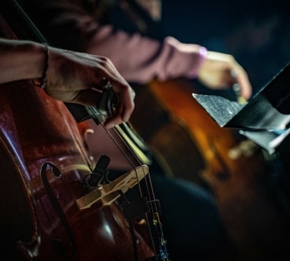 Closeup of violins being played by musicians